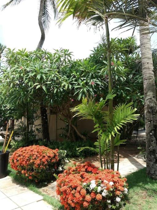 Eco Paradise Cumbuco 131 Екстериор снимка